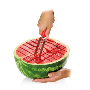 Melon kniv fra Tescoma